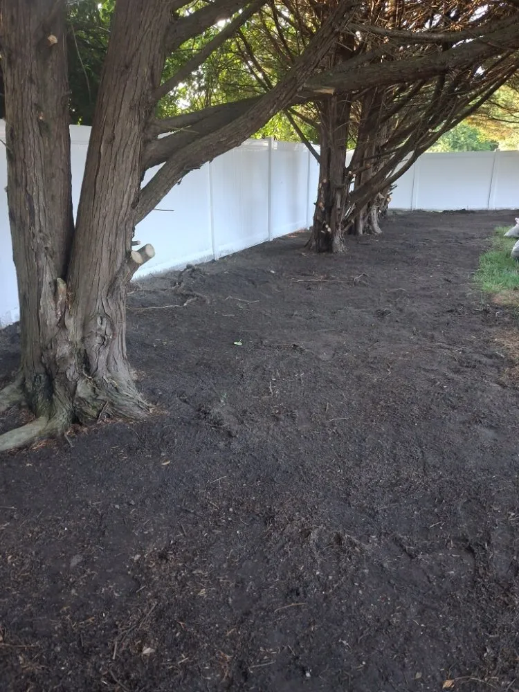 Expert landscape installation near you in Norfolk, VA by Green Oasis Landscaping