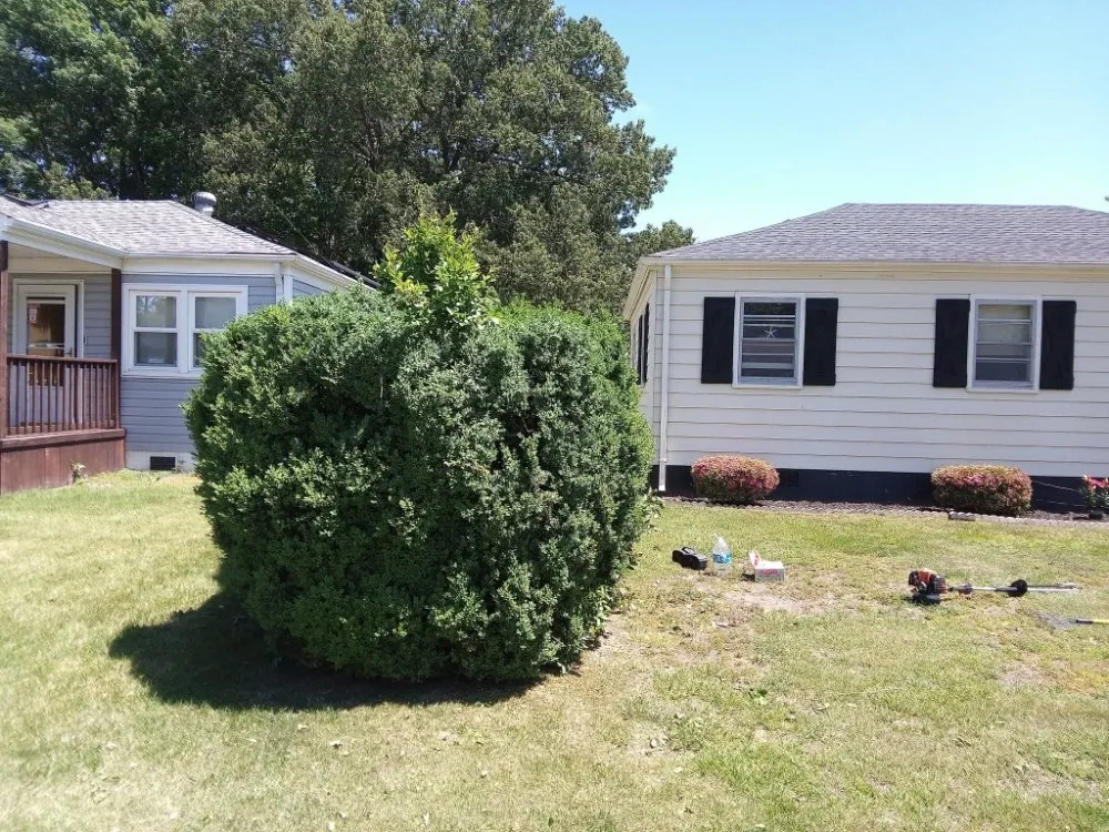 Local residential landscaping for year-round maintenance across Norfolk, VA - Green Oasis Landscaping