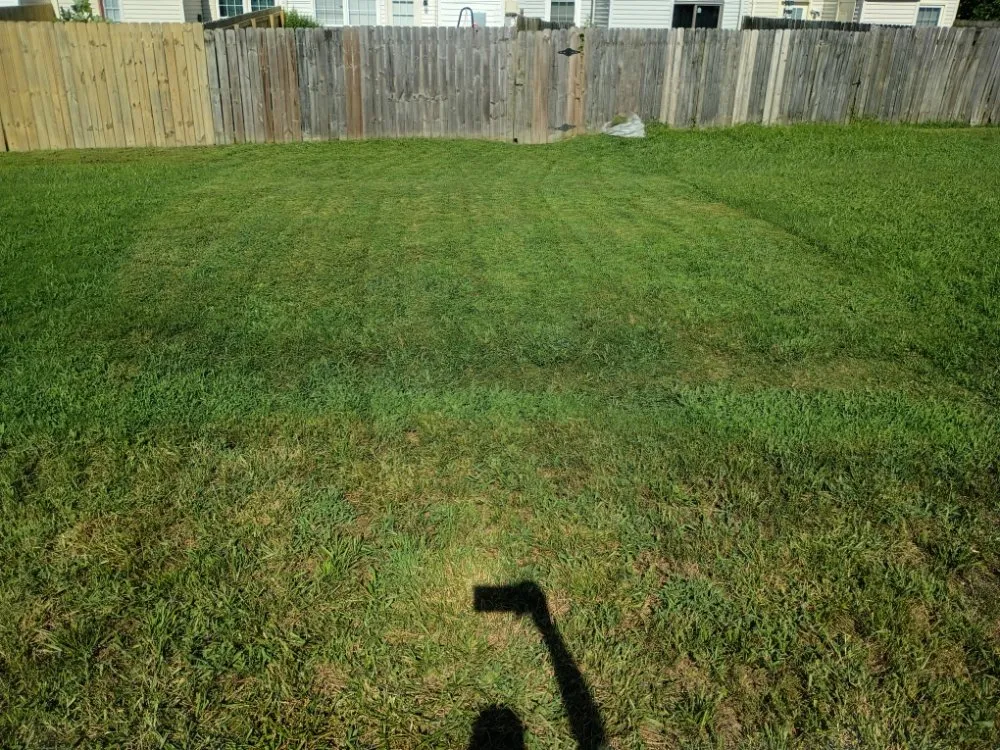 Local garden landscaping with custom design in Norfolk, VA by Green Oasis Landscaping