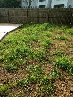 Green Oasis Landscaping Logo