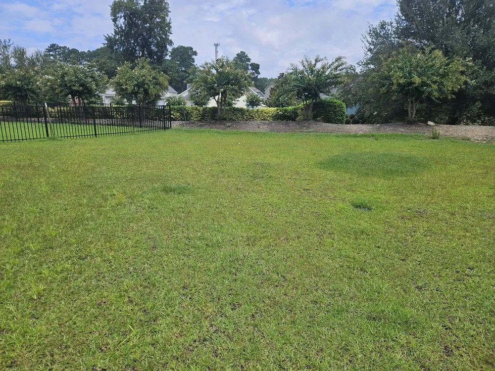 Reliable yard cleanup service for outdoor upgrades in Fayetteville, NC by Green Oasis Lawn Service