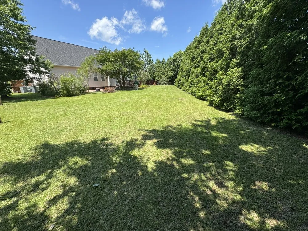 Expert landscape design in Fayetteville, NC by Green Oasis Lawn Service