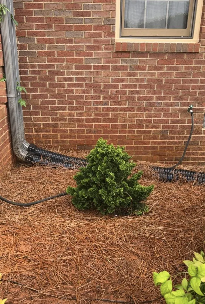 Custom yard cleanup service for residential properties across Forsyth, GA - Green Oasis Property Solutions