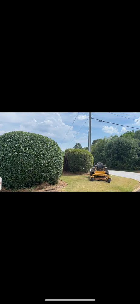 Expert garden landscaping in Forsyth, GA - Green Oasis Property Solutions