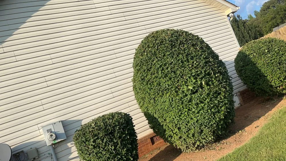 Professional landscape design in Forsyth, GA by Green Oasis Property Solutions