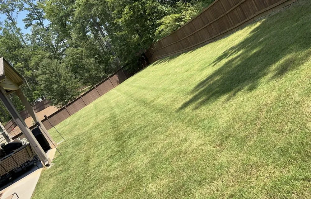 Professional outdoor landscaping experts serving Forsyth, GA - Green Oasis Property Solutions