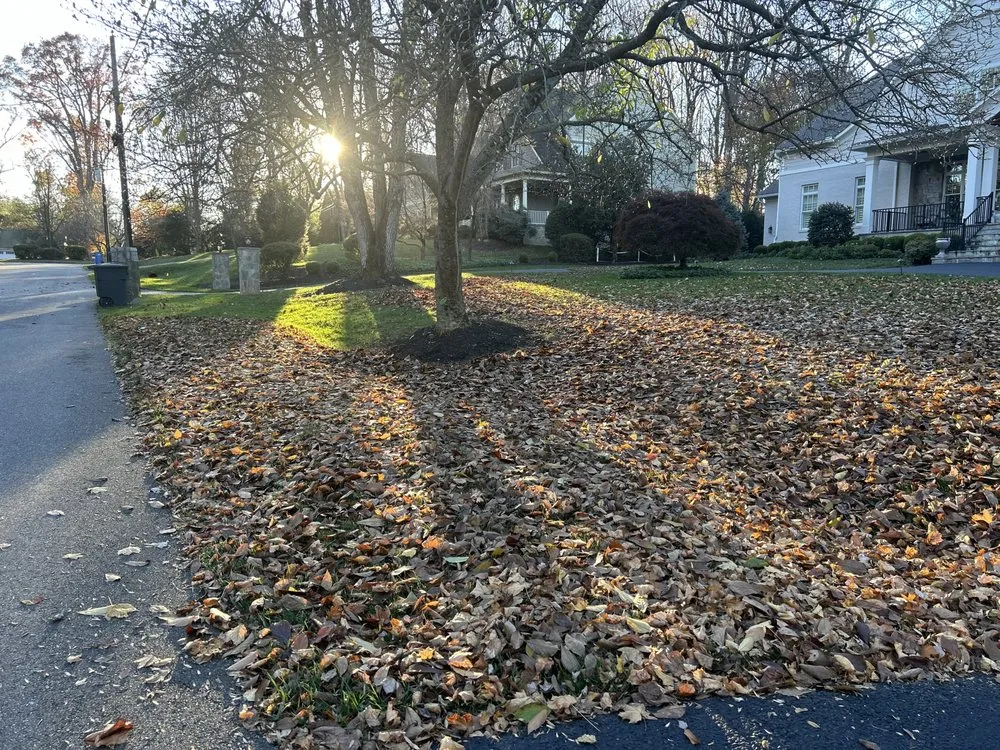 Top-rated landscape design for homes in Reston, VA by Green Oasis