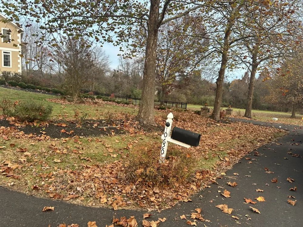 Custom residential landscaping in Reston, VA by Green Oasis