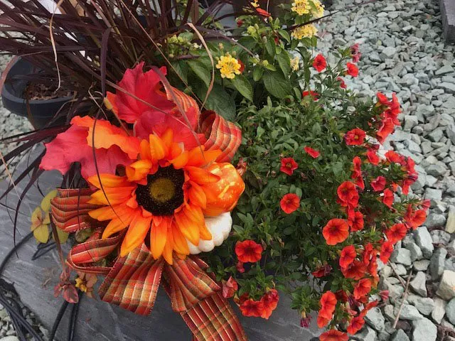 Professional lawn mowing service for year-round maintenance across Rice Lake, WI - Green Oasis