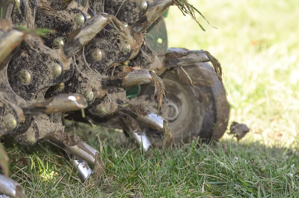 Affordable lawn care service in Rice Lake, WI - Green Oasis