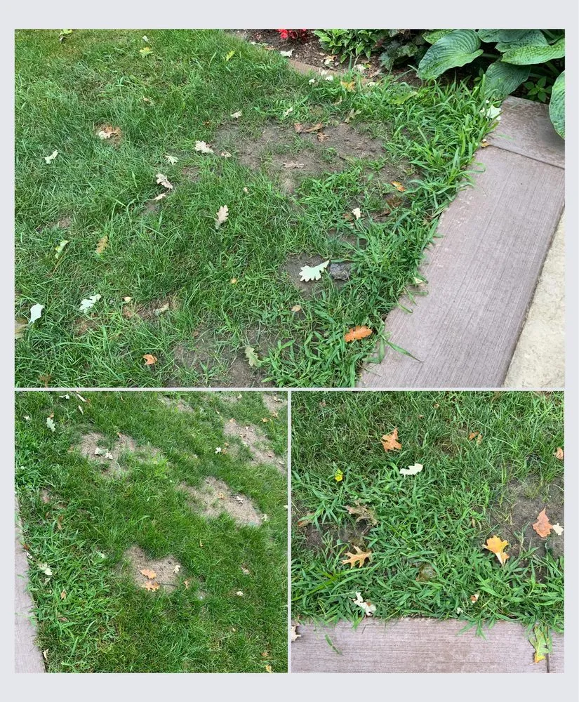 Professional lawn mowing service for outdoor upgrades across Rice Lake, WI - Green Oasis