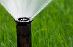 Affordable landscaping services in River Falls, WI - Green Oasis