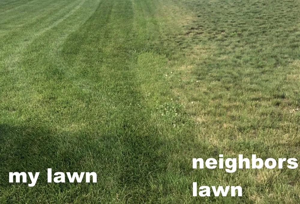 Professional landscaping services in River Falls, WI by Green Oasis