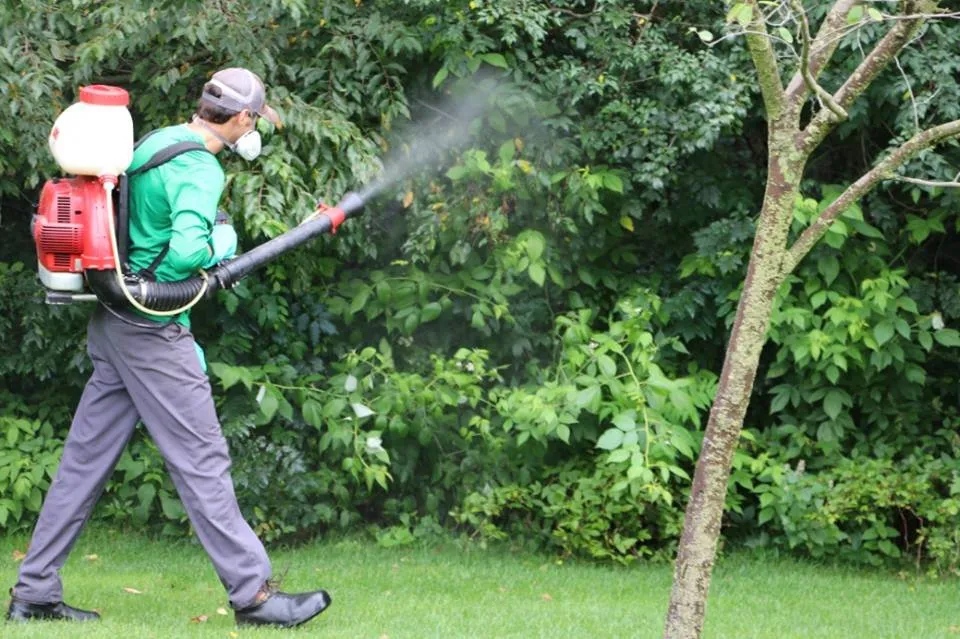 Trusted outdoor landscaping for year-round maintenance in Woodbury, MN by Green Oasis