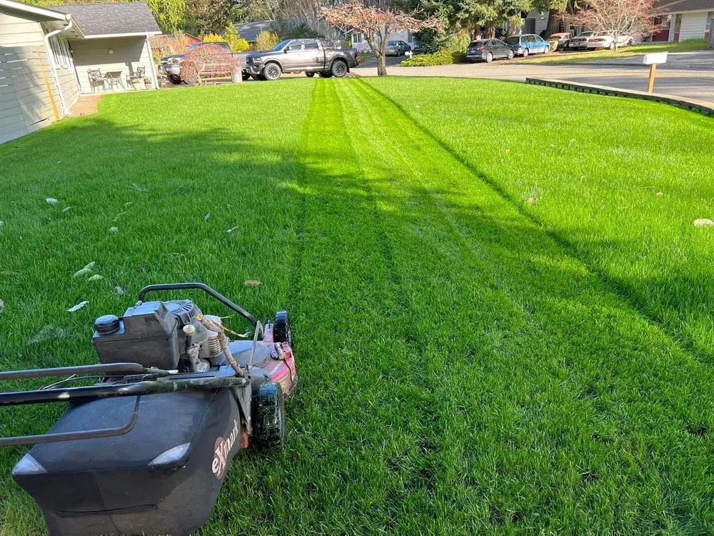 Top-rated lawn care service experts serving Belfair, WA - Green Ocean Landscaping