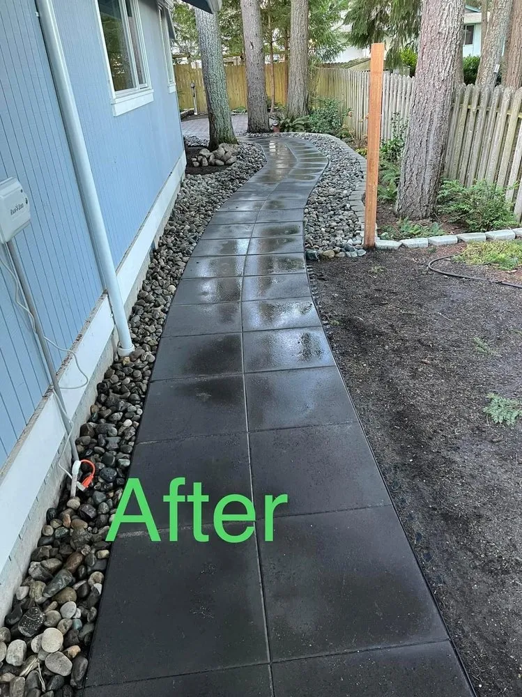 Top-rated yard cleanup service in Belfair, WA by Green Ocean Landscaping