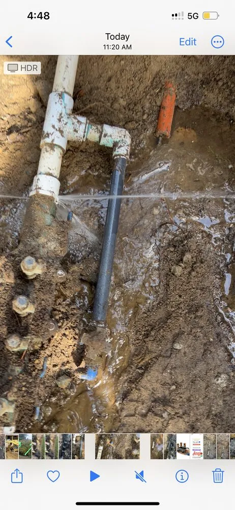 Professional residential landscaping experts serving Belfair, WA - Green Ocean Landscaping