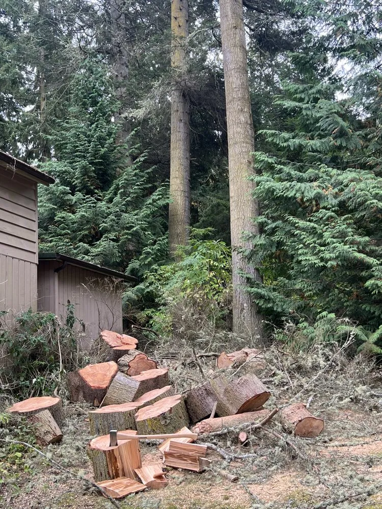 Reliable yard cleanup service in Belfair, WA by Green Ocean Landscaping