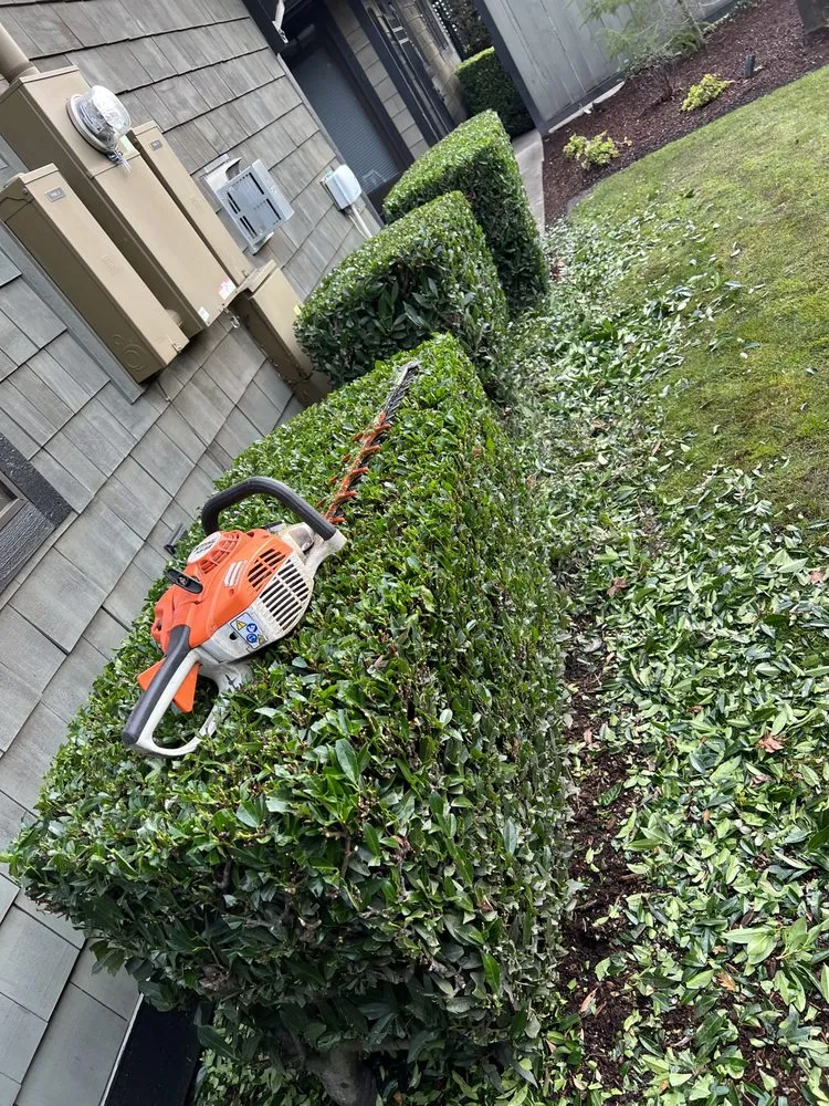 Reliable lawn care service experts serving Belfair, WA - Green Ocean Landscaping