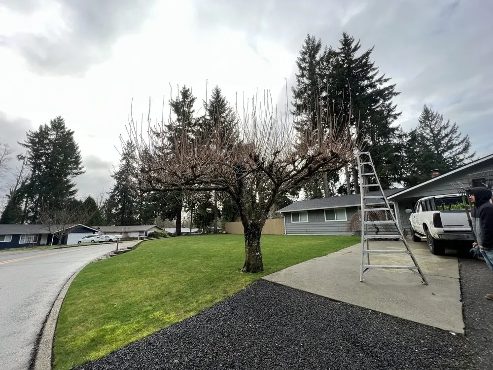 Top-rated garden landscaping in Belfair, WA by Green Ocean Landscaping