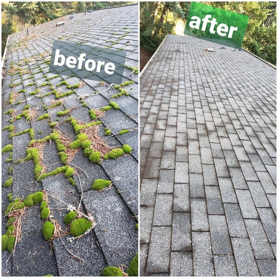 Local landscape installation experts serving Belfair, WA - Green Ocean Landscaping