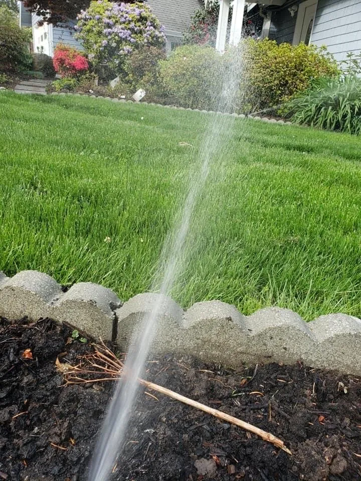 Reliable residential landscaping experts serving Belfair, WA - Green Ocean Landscaping