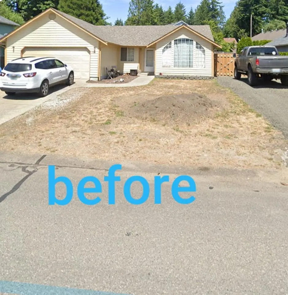 Professional yard maintenance for beautiful yards across Belfair, WA - Green Ocean Landscaping