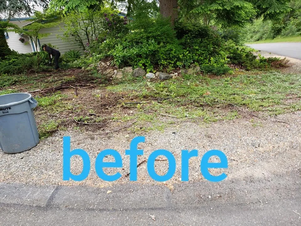 Custom yard maintenance near you across Belfair, WA - Green Ocean Landscaping