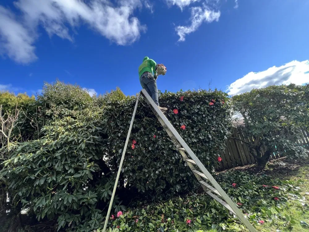 Reliable outdoor landscaping in Belfair, WA by Green Ocean Landscaping