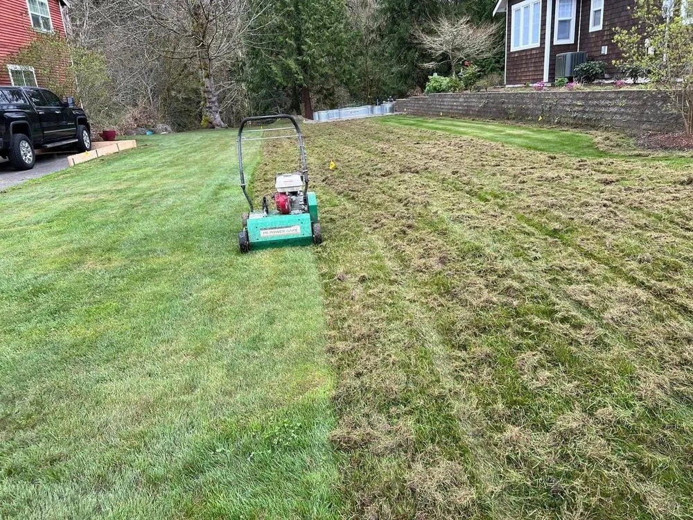 Expert landscape installation near you across Belfair, WA - Green Ocean Landscaping