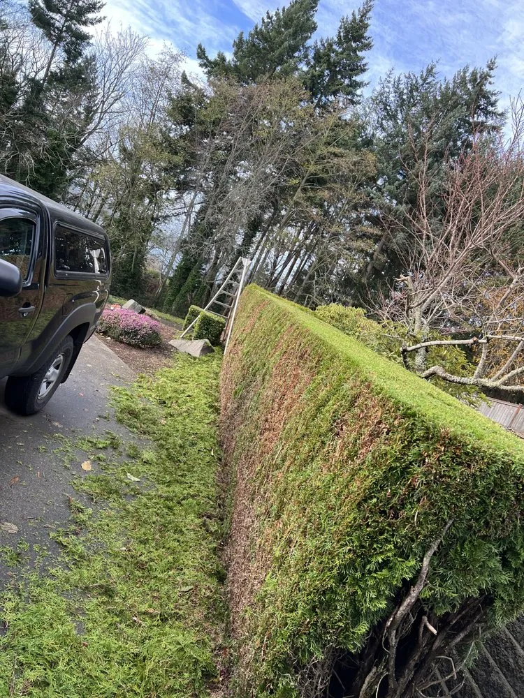 Local lawn care service for residential properties in Belfair, WA by Green Ocean Landscaping