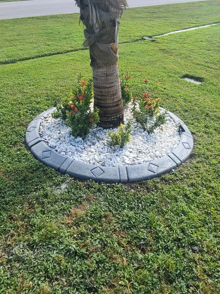 Top-rated landscape design in Stuart, FL by Green Olive Maintenance