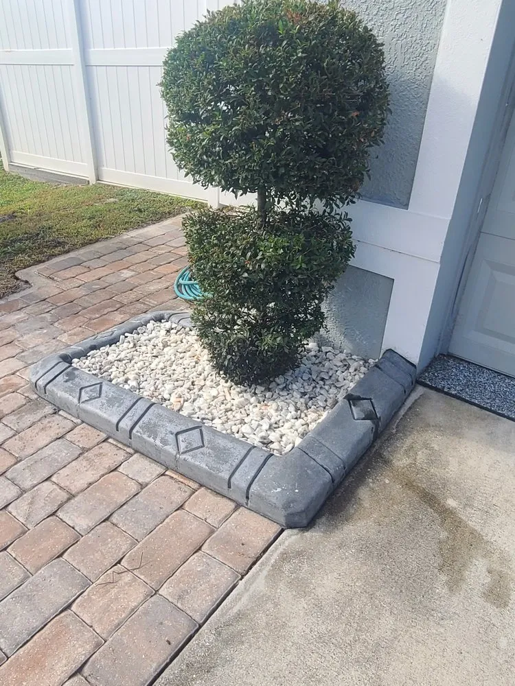 Trusted residential landscaping experts serving Stuart, FL - Green Olive Maintenance