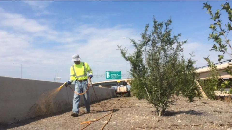 Custom outdoor landscaping in Alvord, TX - Green Onsite Services