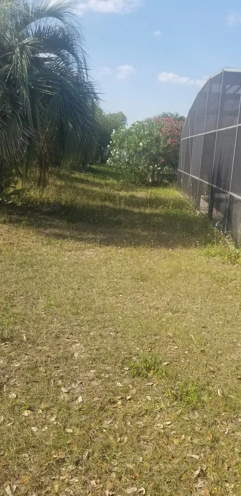 Custom yard maintenance in Davenport, FL by Green Outdoor