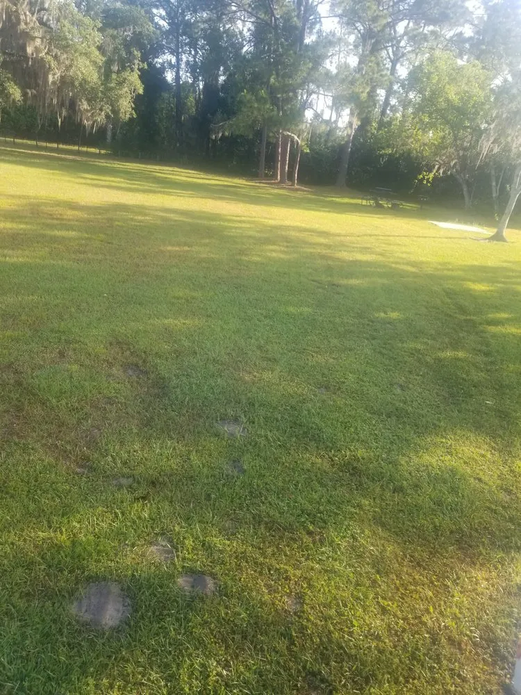 Local yard cleanup service experts serving Davenport, FL - Green Outdoor