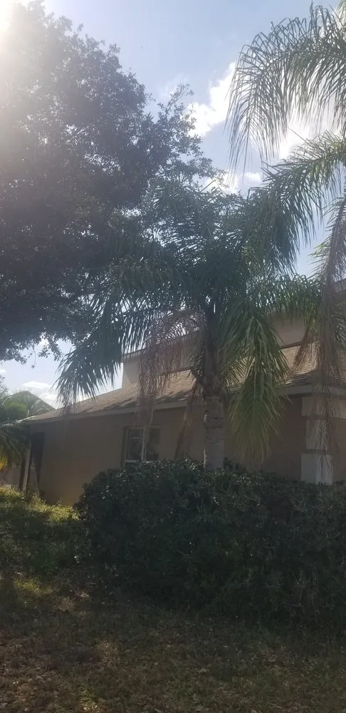 Custom yard maintenance in Davenport, FL - Green Outdoor