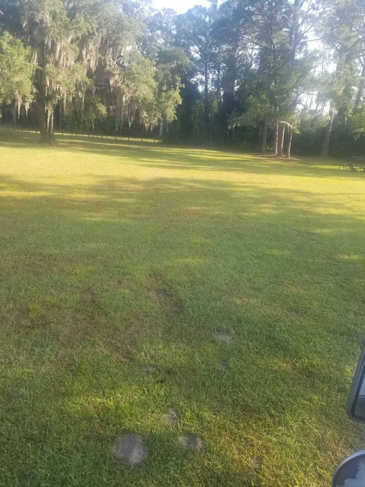 Local yard maintenance experts serving Davenport, FL - Green Outdoor