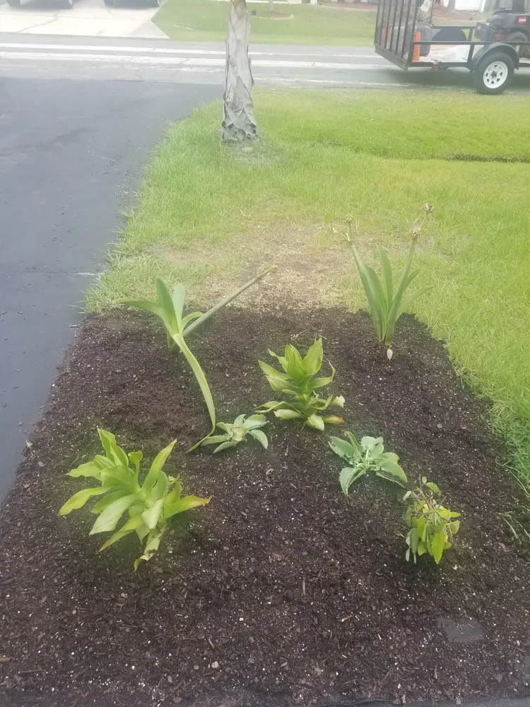 Custom outdoor landscaping experts serving Davenport, FL - Green Outdoor