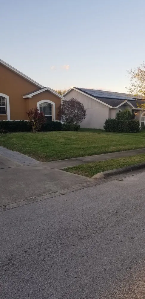 Professional residential landscaping in Davenport, FL - Green Outdoor