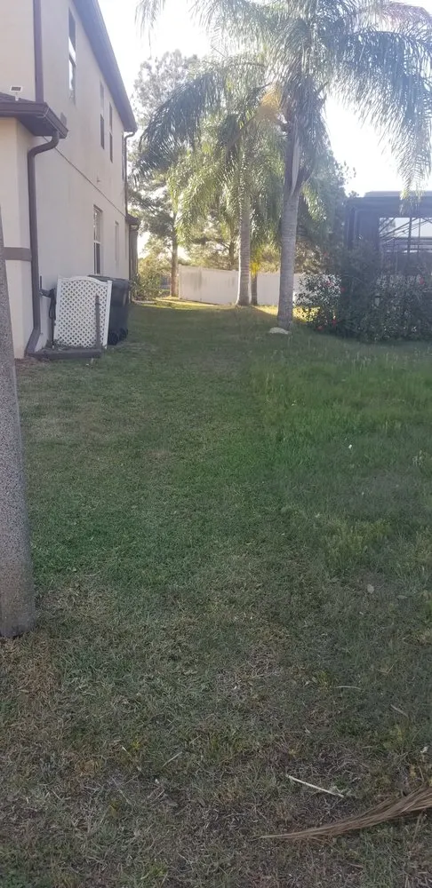 Reliable yard cleanup service experts serving Davenport, FL - Green Outdoor