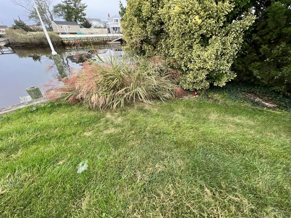 Professional yard maintenance in Tuckerton, NJ by Green Outdoor Landscape