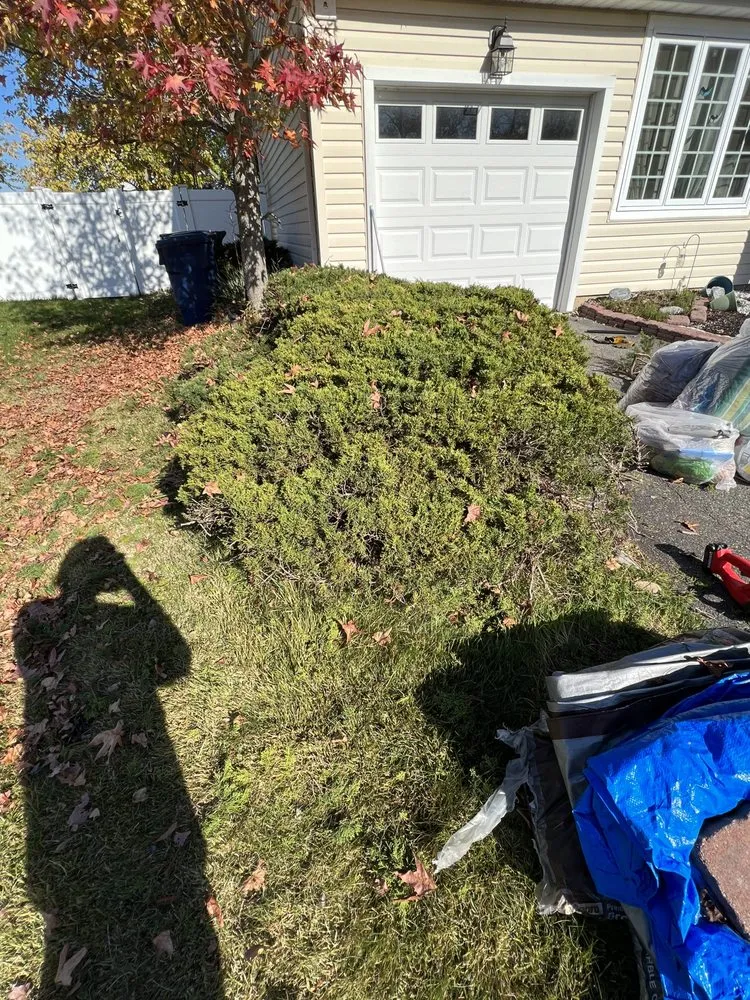 Local landscaping services for year-round maintenance across Tuckerton, NJ - Green Outdoor Landscape