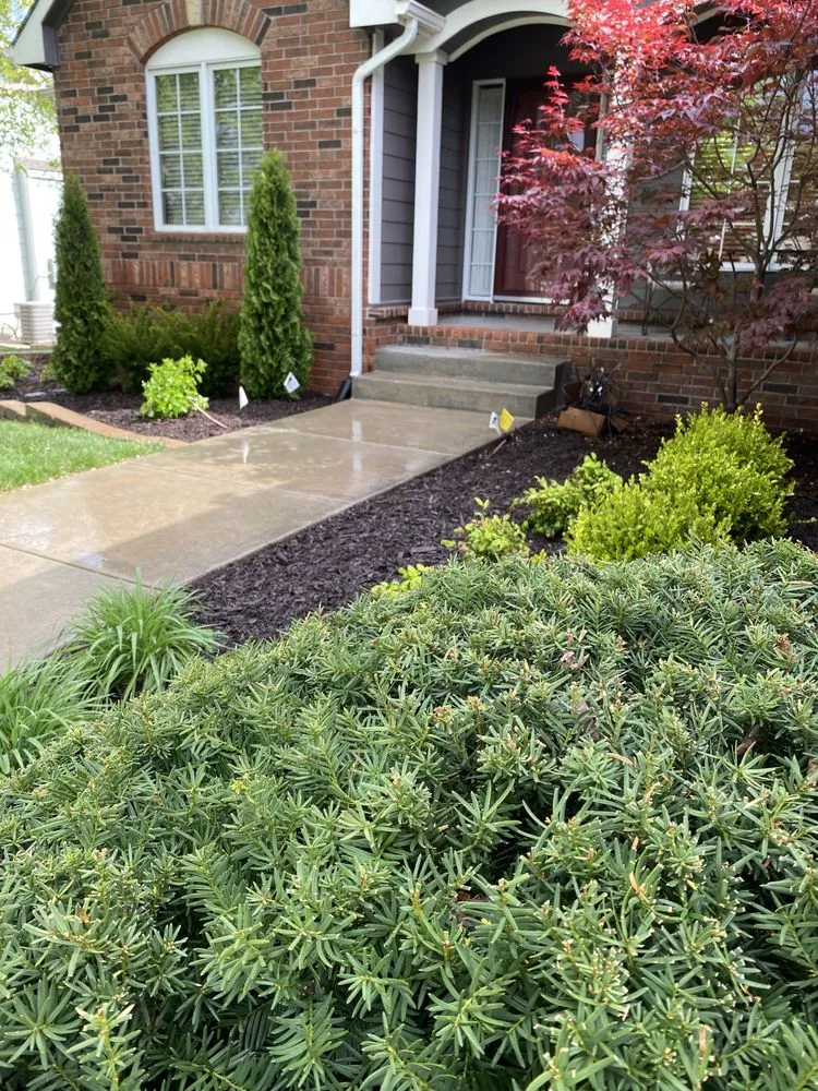 Expert yard cleanup service experts serving Wichita, KS - Green Outdoors Landscape