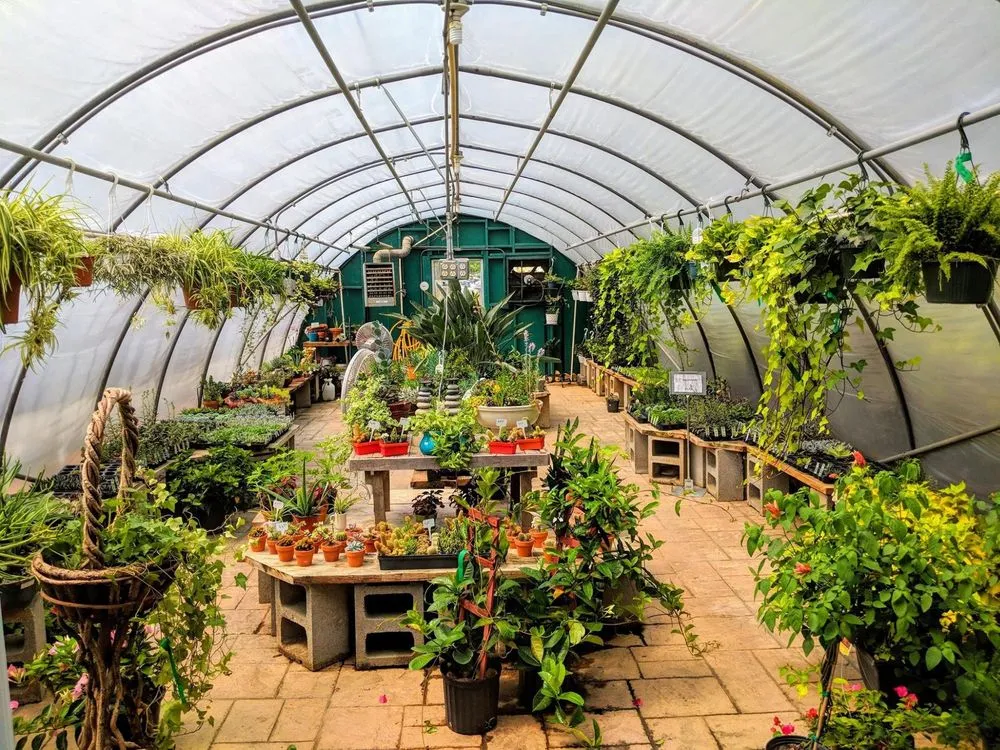 Professional yard maintenance for homes across Woodfin, NC - Green Outdoors Landscaping & Nursery