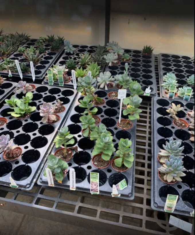 Professional yard maintenance experts serving Woodfin, NC - Green Outdoors Landscaping & Nursery