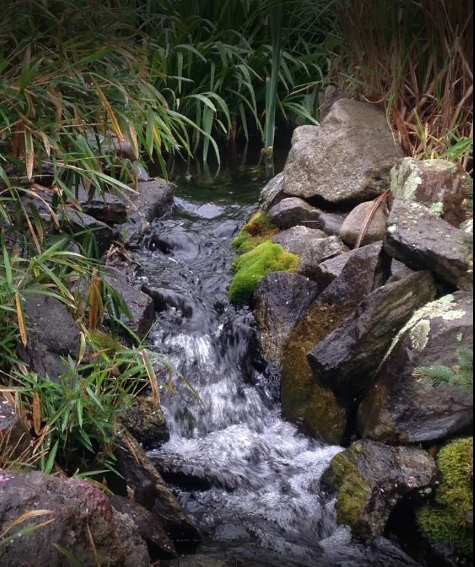 Custom residential landscaping in Woodfin, NC by Green Outdoors Landscaping & Nursery