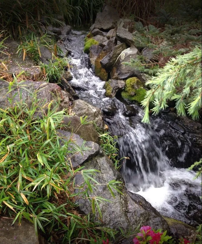 Top-rated outdoor landscaping in Woodfin, NC - Green Outdoors Landscaping & Nursery