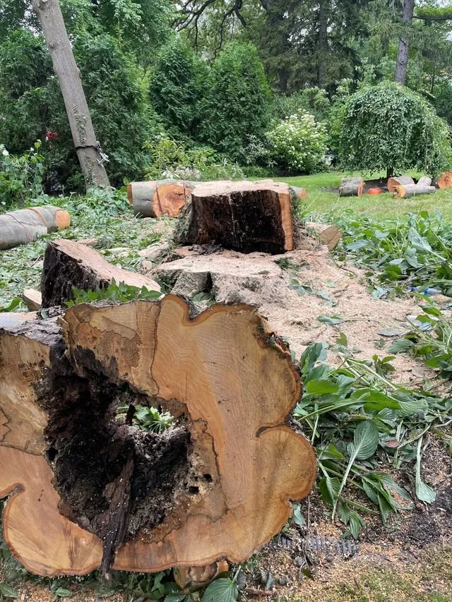 Professional landscape installation for residential properties in Bedford Hills, NY by Green Outdoors Tree Service