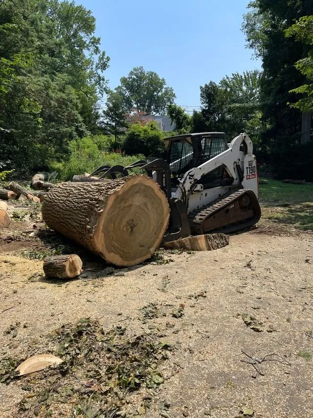 Expert yard cleanup service experts serving Bedford Hills, NY - Green Outdoors Tree Service